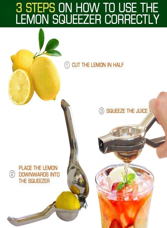 Ezee Stainless Steel Lemon Squeezer with Bottle Opener - Image 2